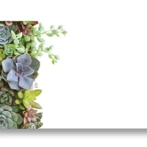 50 Succulents Enclosure Cards and Envelopes Great for Flowers Messages Gifts